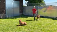 Anke Brinkmann beim Hundetraining