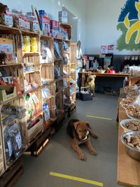 Der Hofladen des Hundezentrum Brinkmann